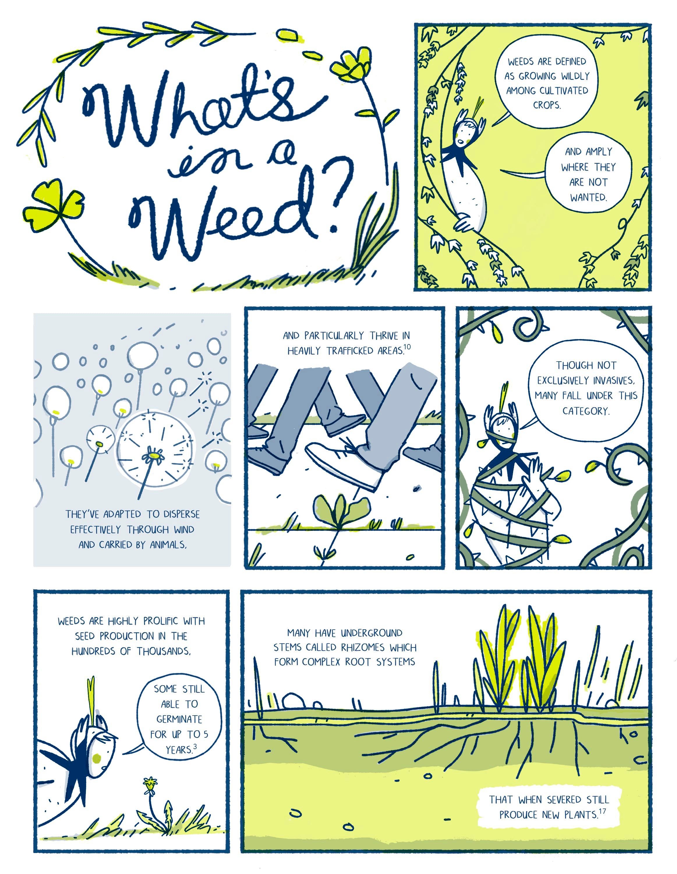 Stoop Shop Comics #1